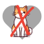 no Chat