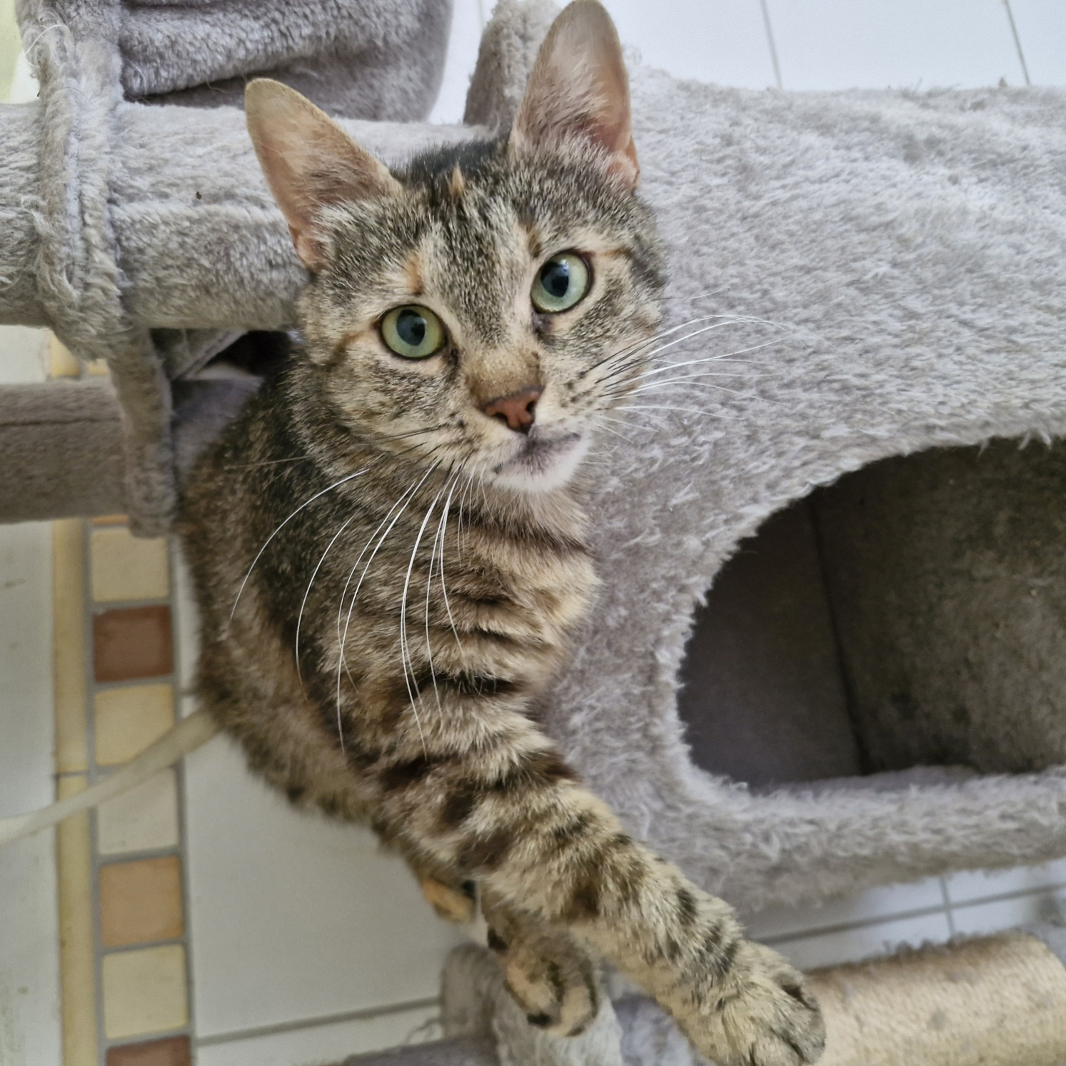 Oona