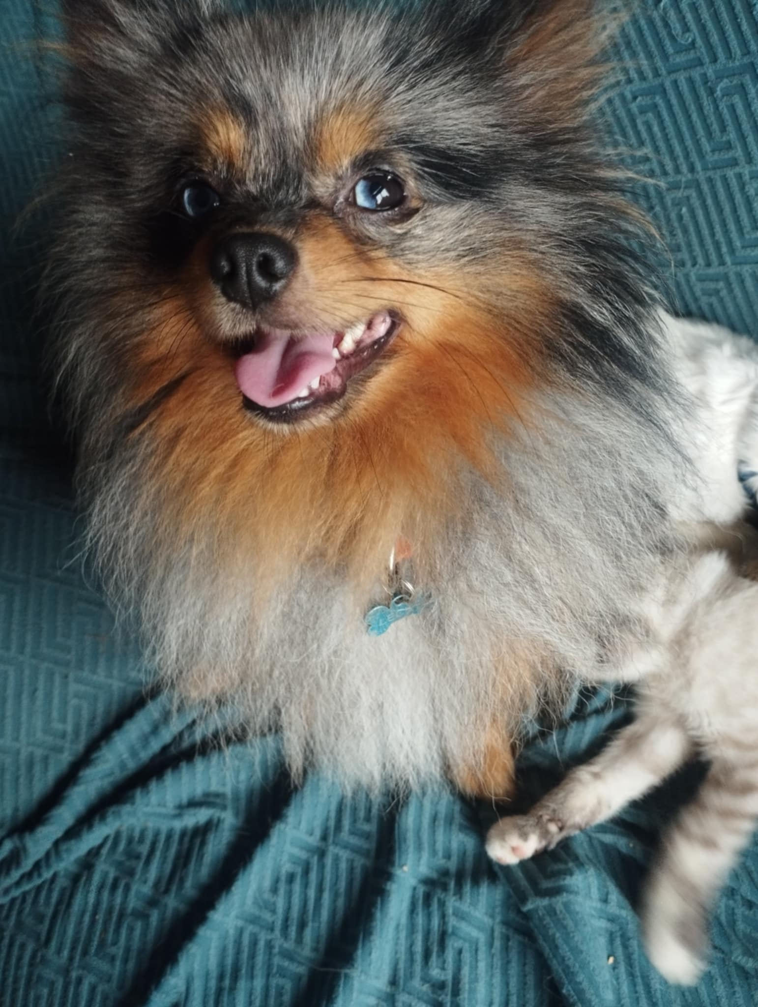 Fluffy