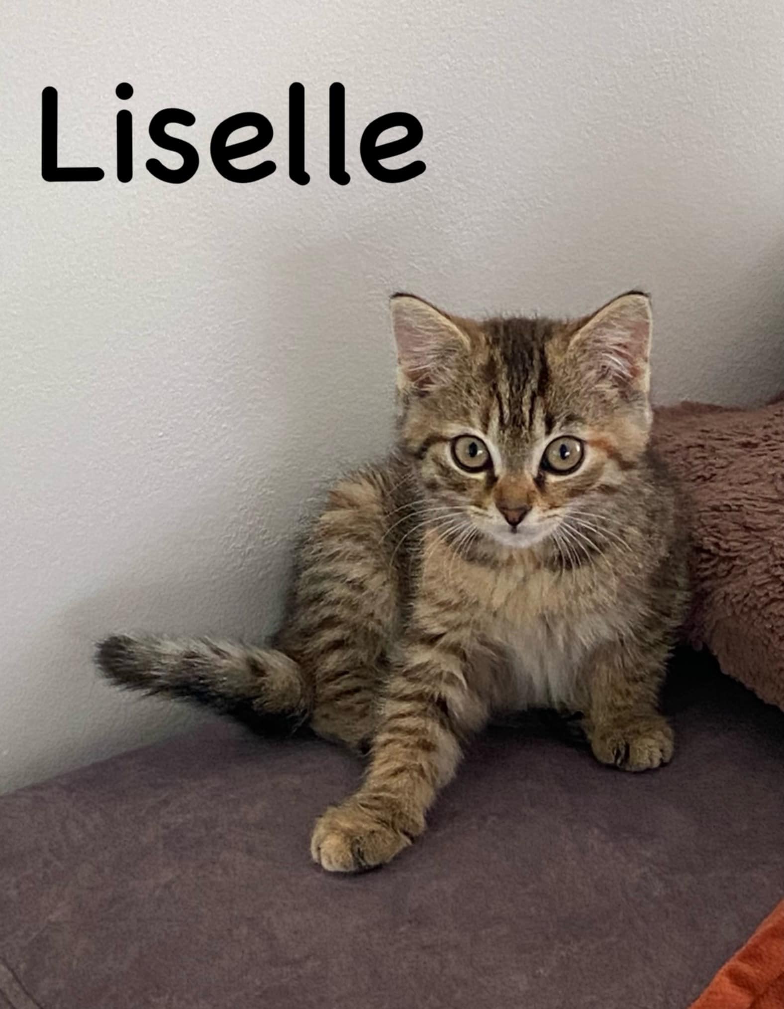 Liselle
