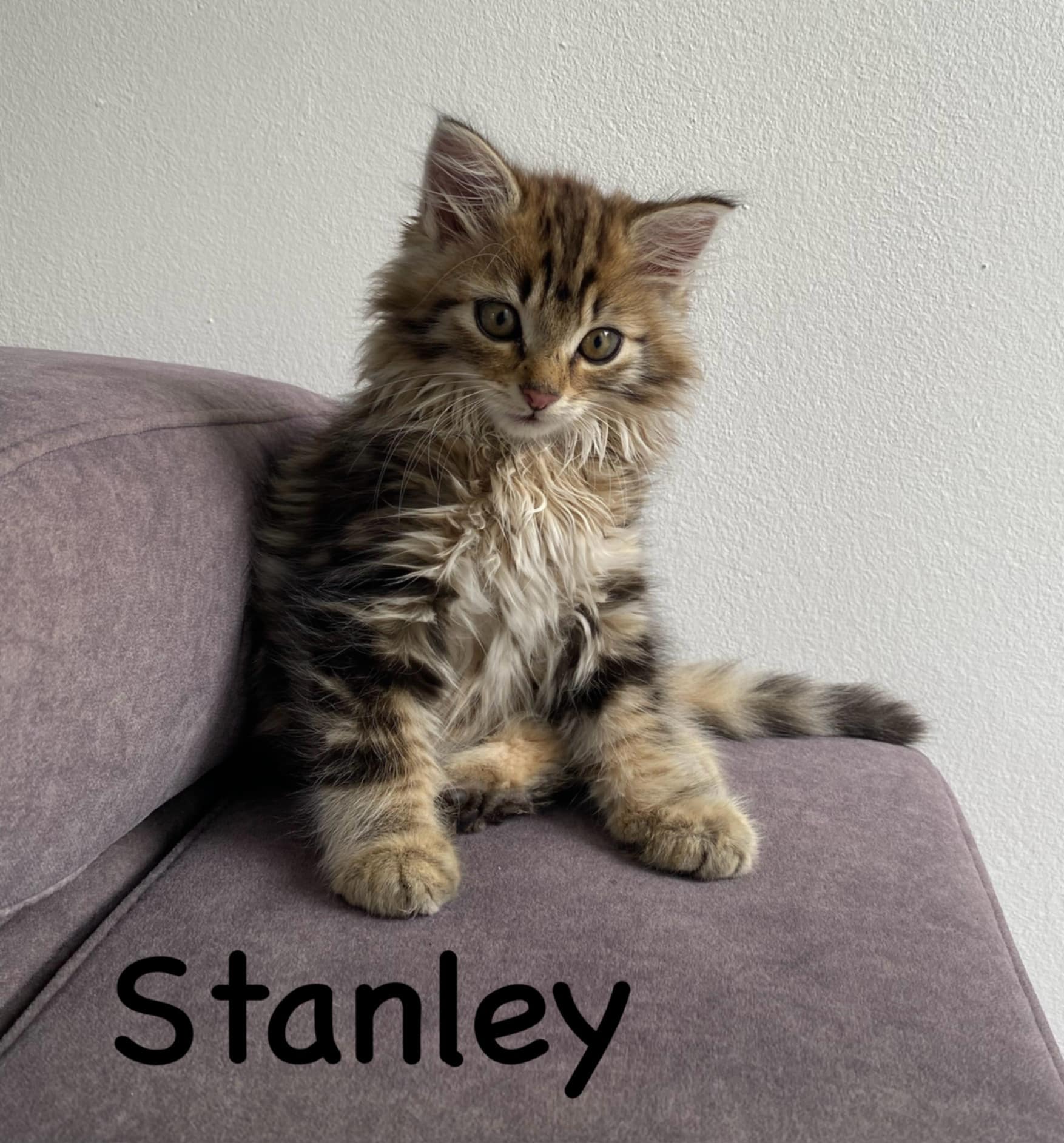 Stanley