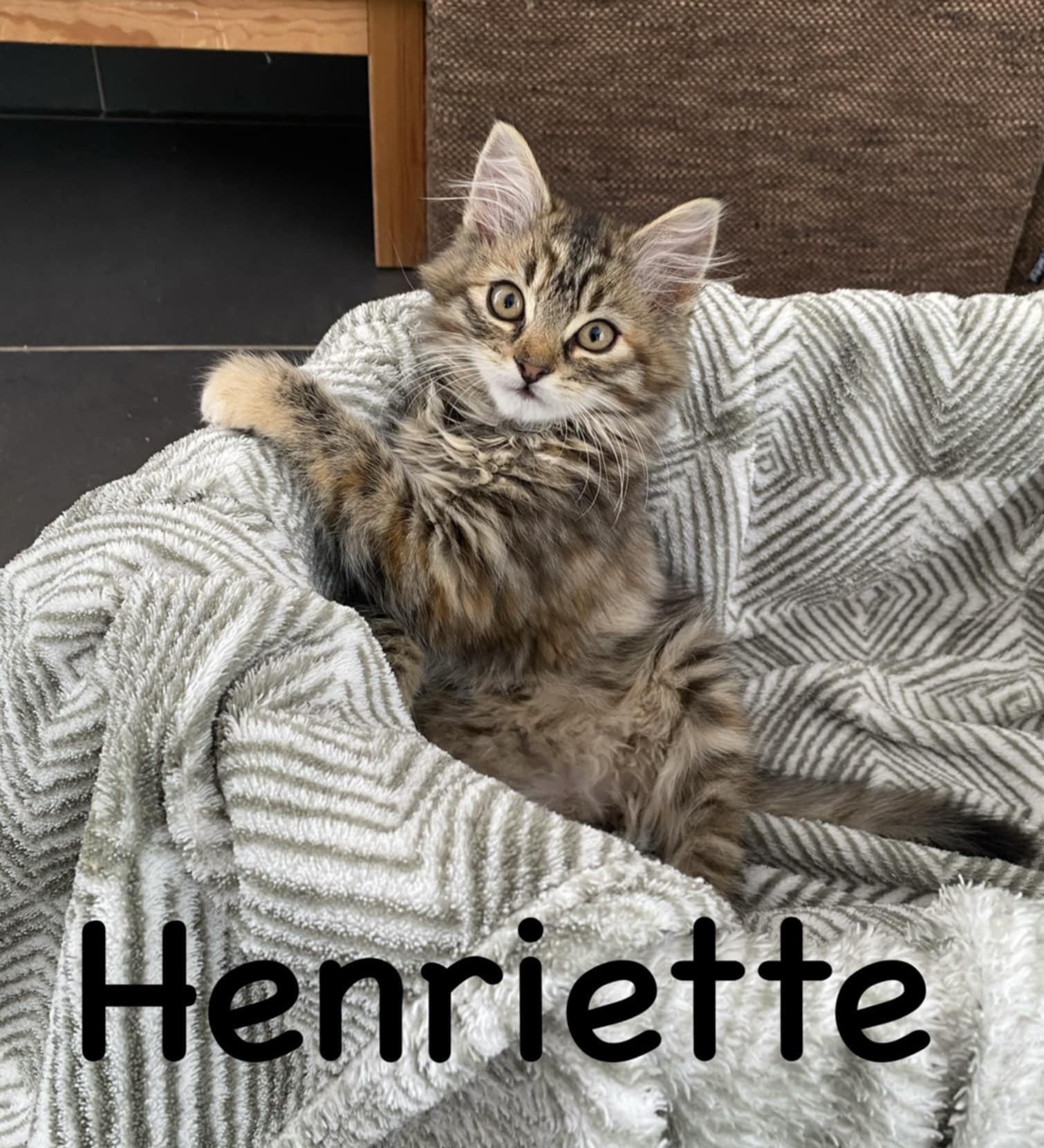 Henriette