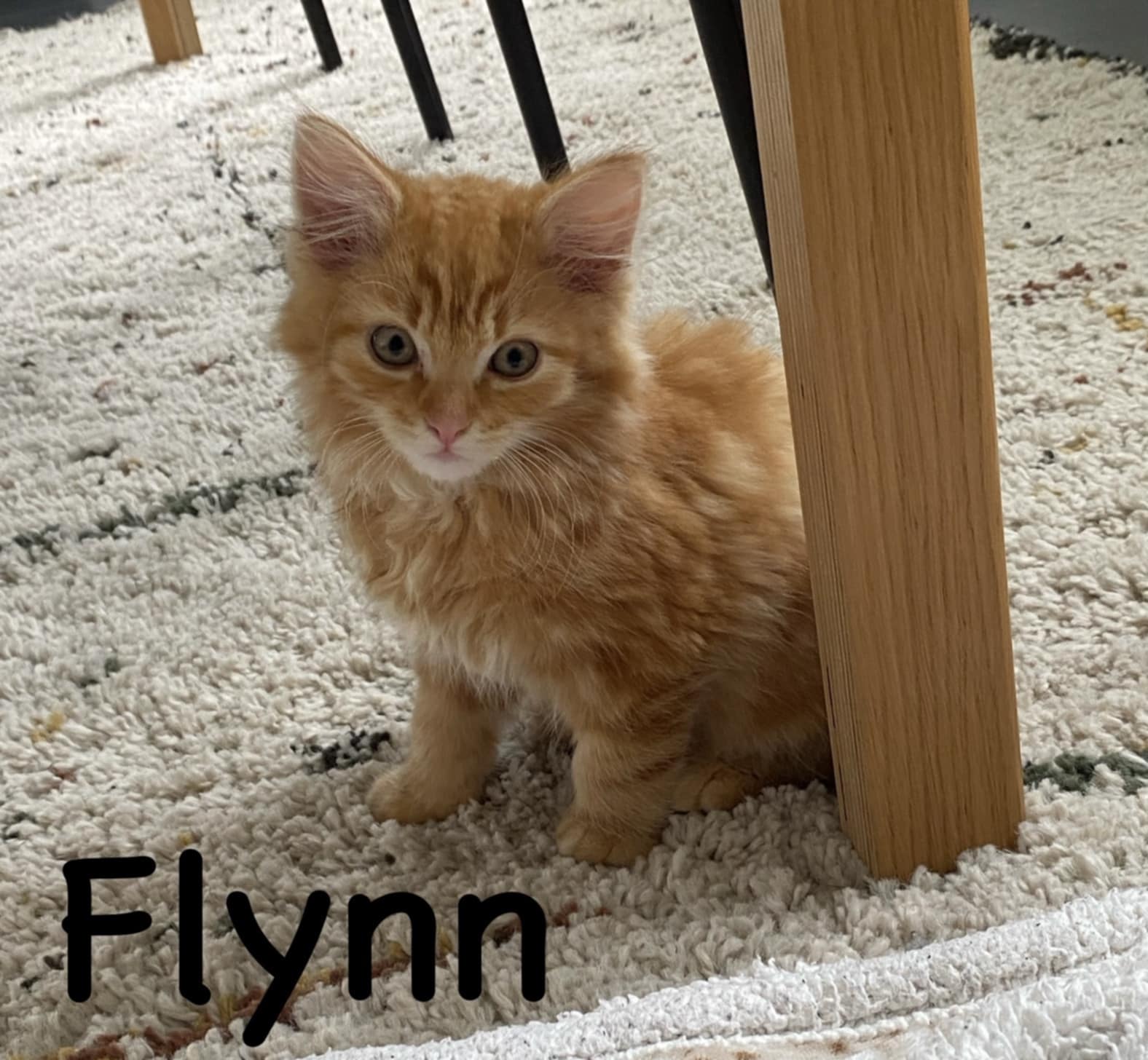 Flynn