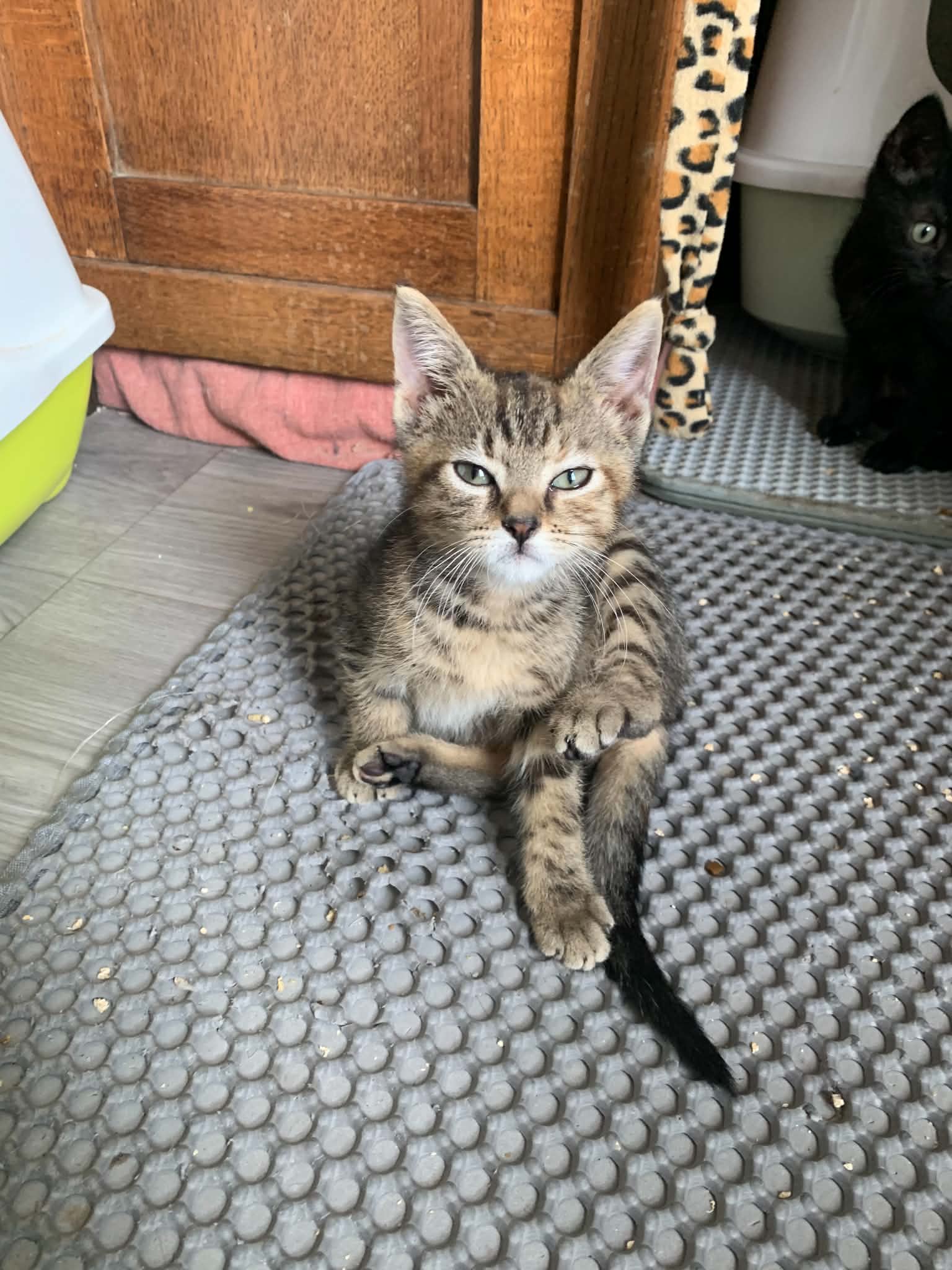 Kira